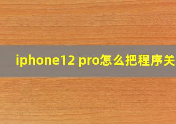 iphone12 pro怎么把程序关掉